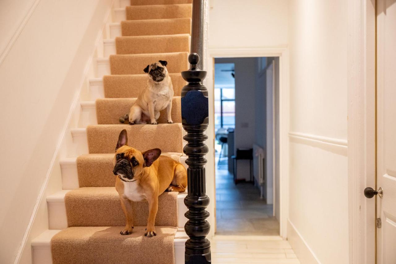 Bed and breakfast Doghouse Margate Extérieur photo